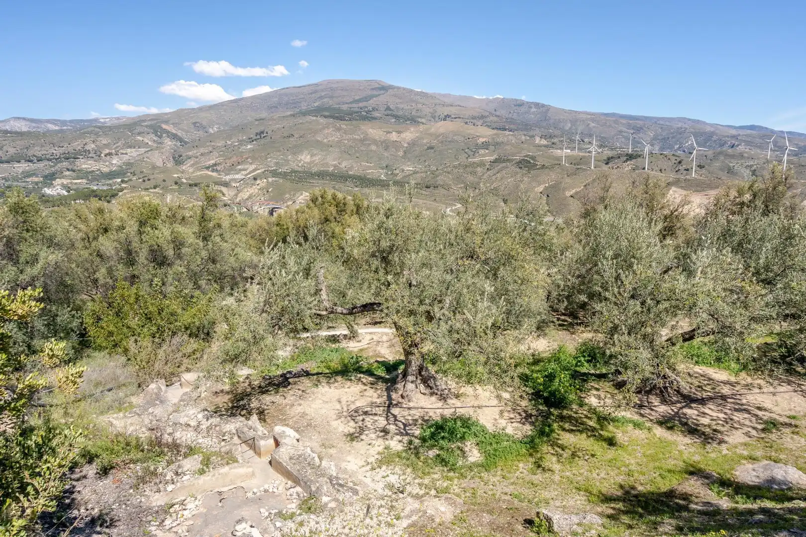 Land for sale in El Pinar