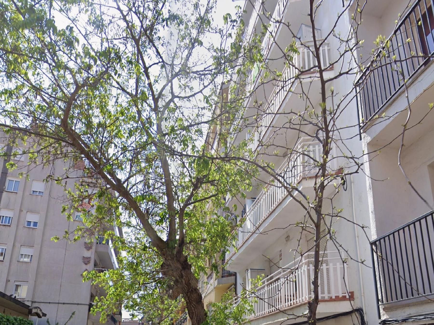 Vista exterior de Pis en venda en Lloret de Mar