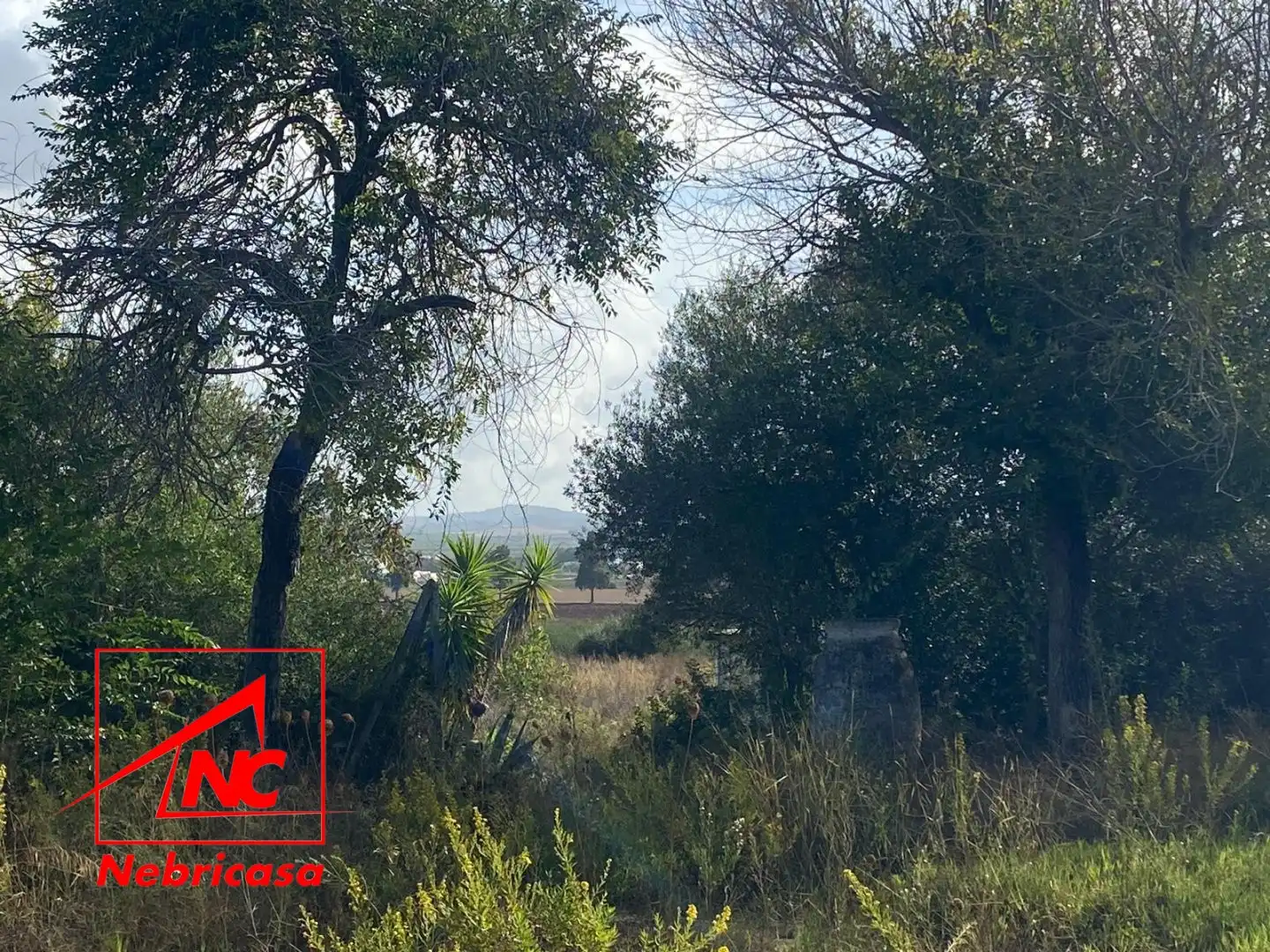 Terrenos y solares en venta en Las Cabezas de San Juan, imagen 5