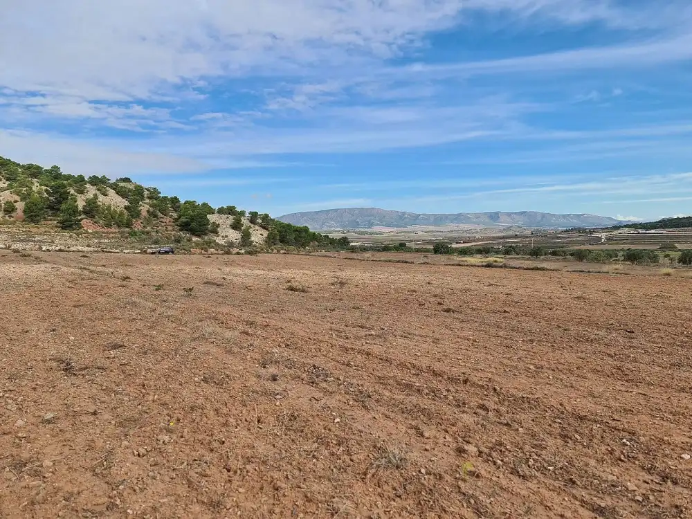 Terreno residencial en venta en El Pinós / Pinoso, imagen 10