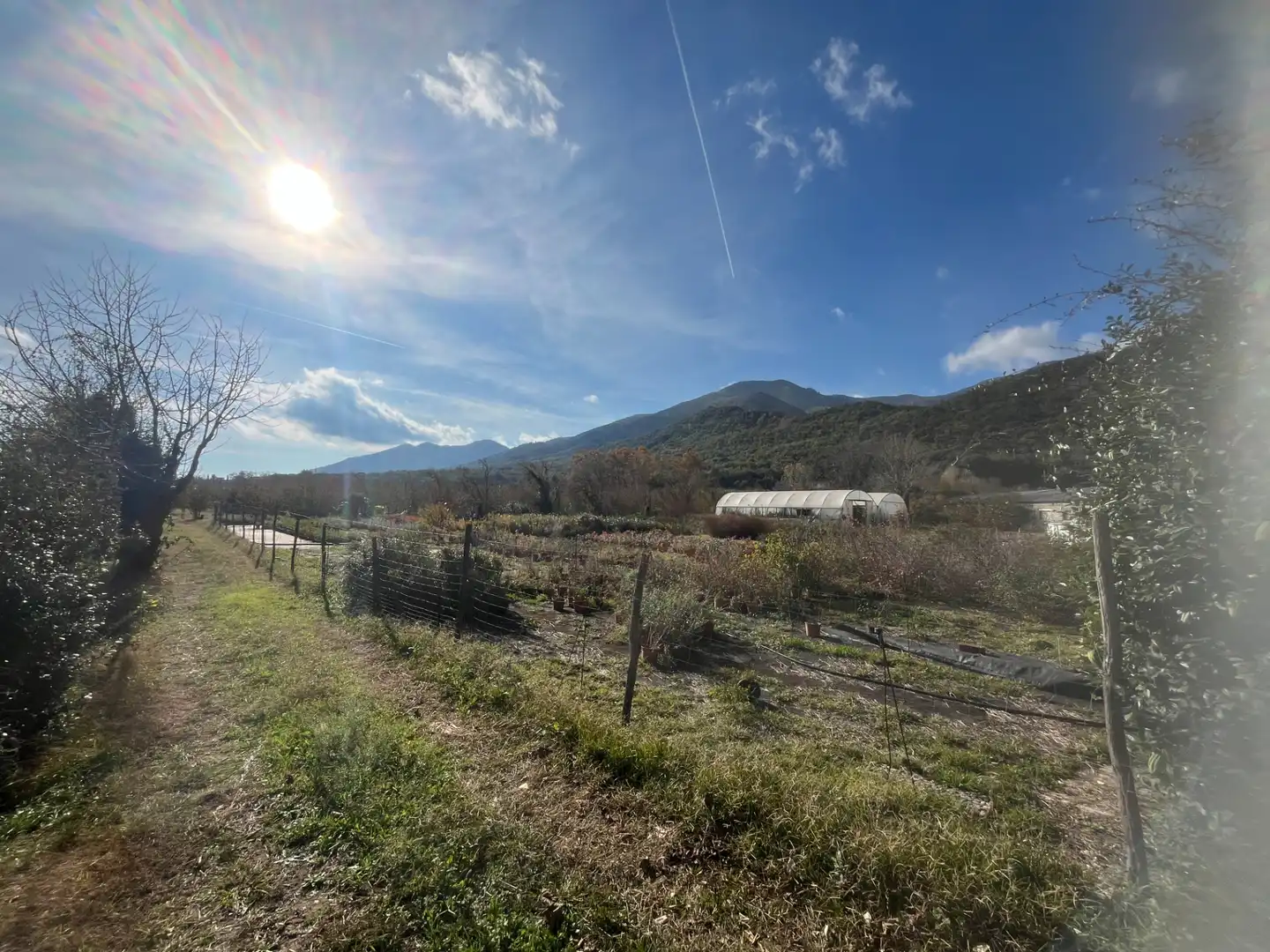 Finca rústica en venta en La Cellera de Ter