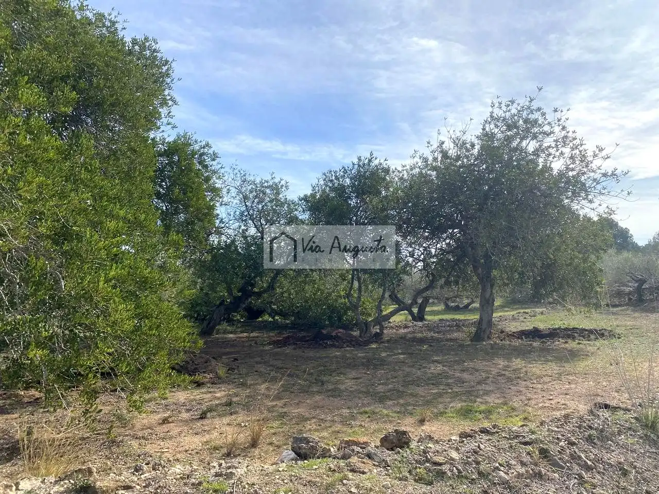 Terreno rustico in vendita a Planas, imagen 13