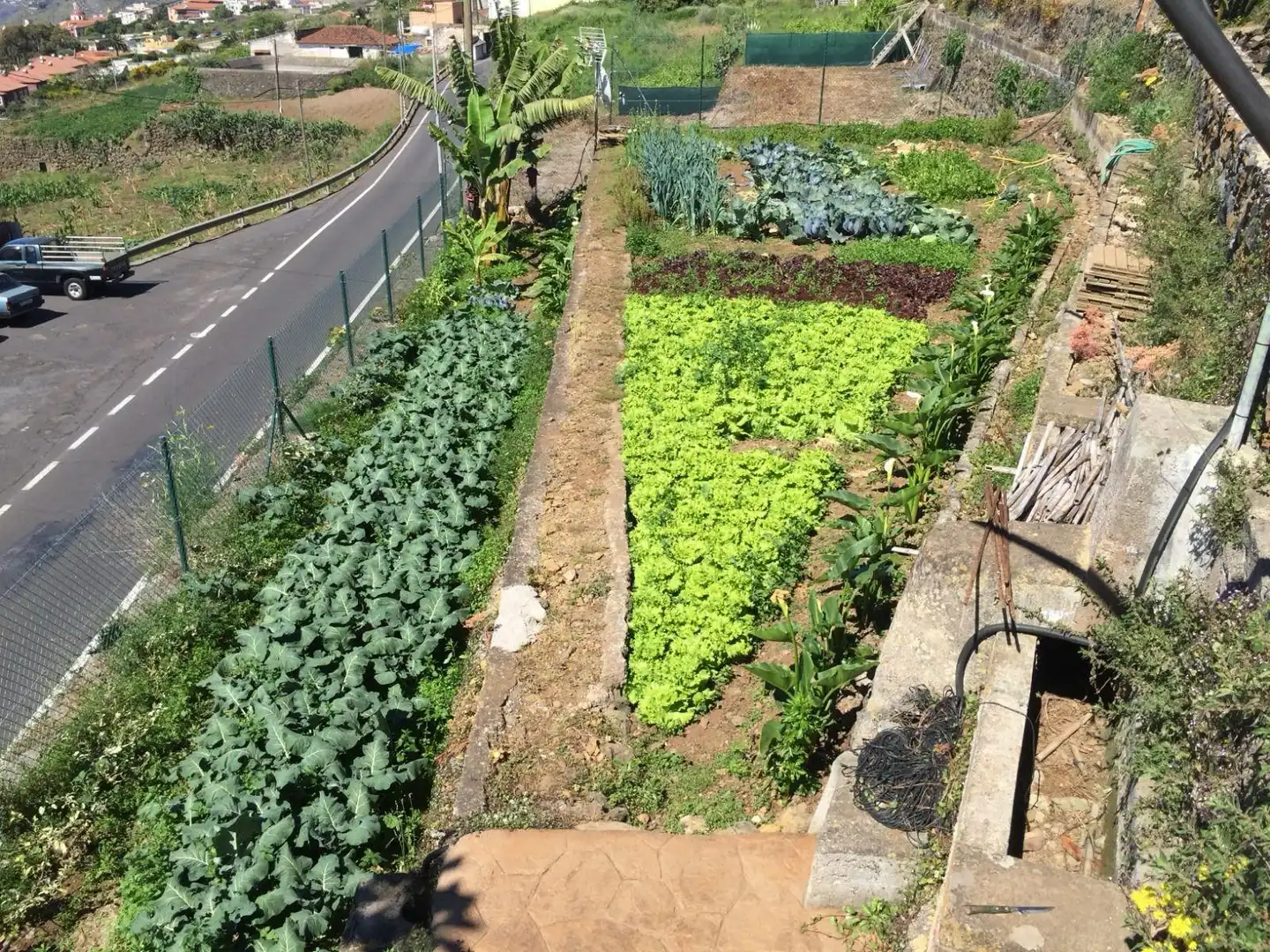 Garten von Country house zum Verkauf in Santa Úrsula mit Privatgarten, Terrasse und Schwimmbad