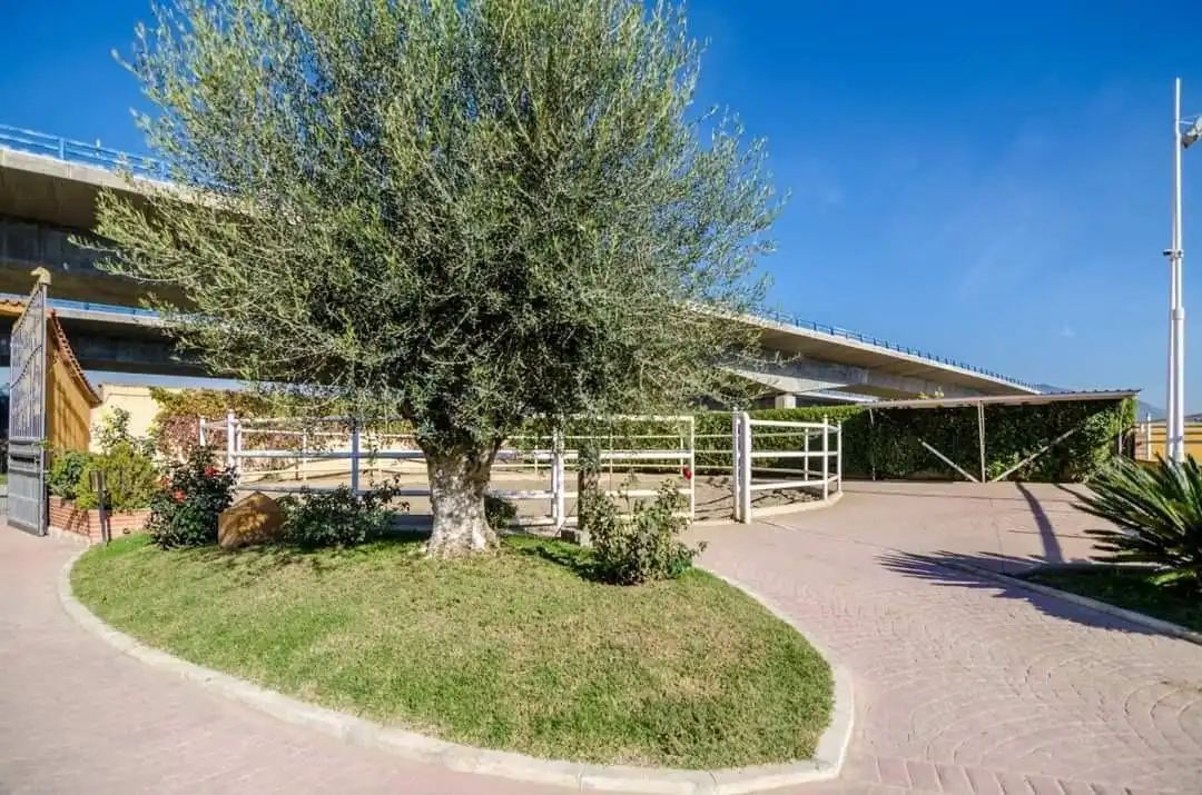 Vista exterior de Finca rústica en venta en Mijas