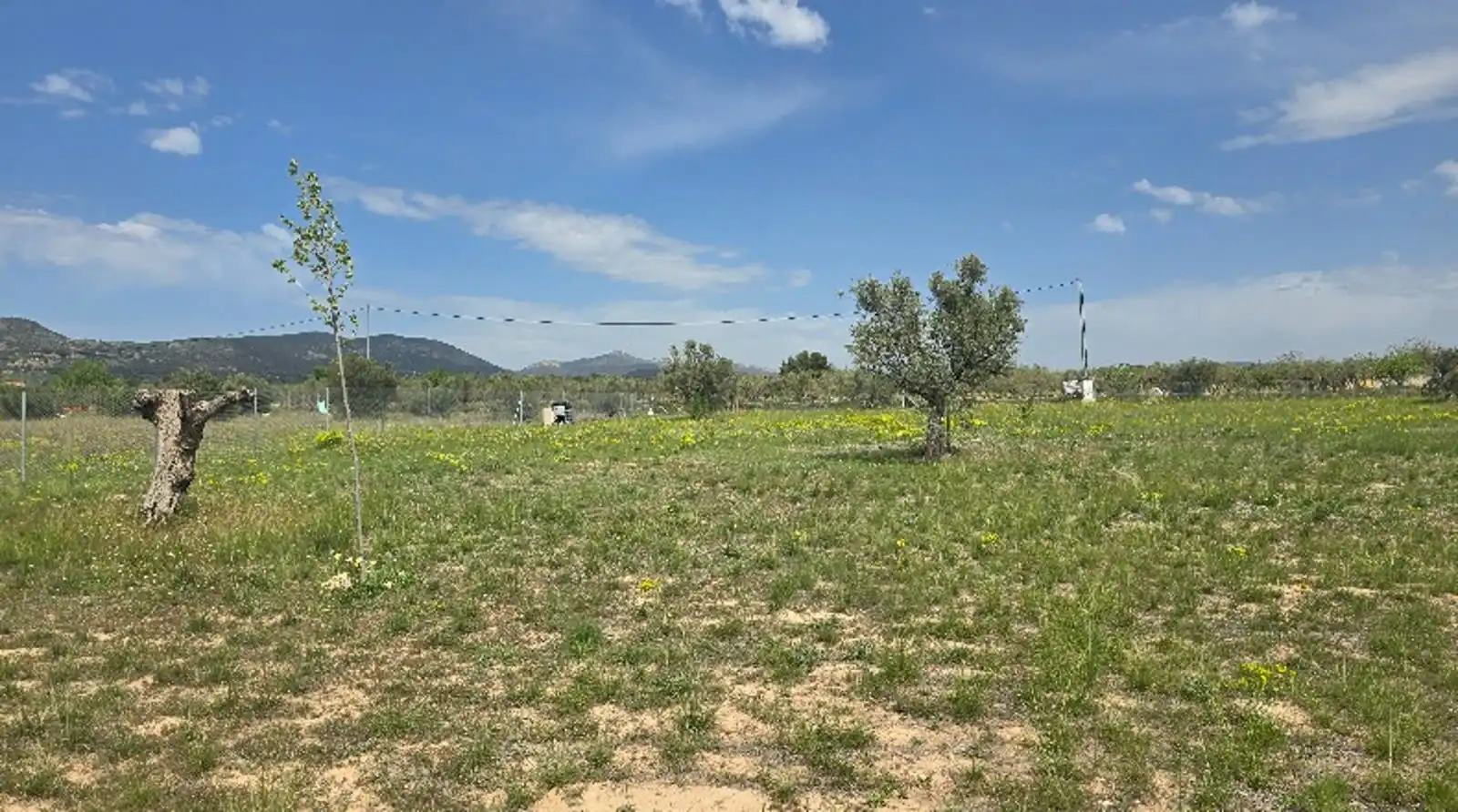 Terreny rústic en venda a Cam dels Pous, imagen 3