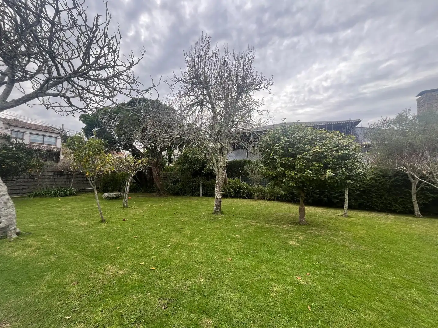 Jardí de Casa o xalet en venda en Vigo  amb Jardí privat, Terrassa i Traster