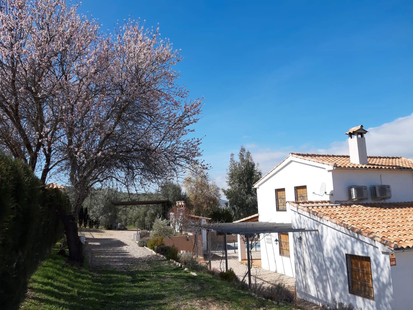 Exterior view of Country house for sale in Villacarrillo