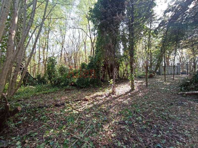 Casa o xalet en venda en Siero
