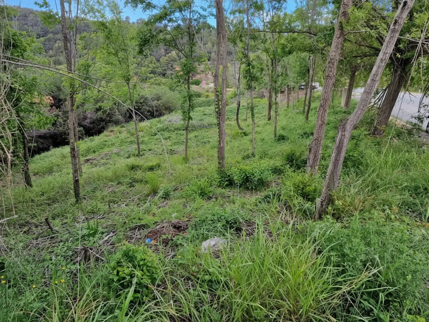 Terreno industrial en venta en Sant Feliu de Codines