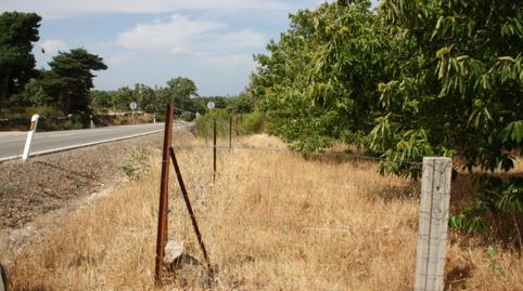 Photo 4 of Industrial land for sale in Carretera Valdastillas-piornal, 12a, Piornal, Cáceres
