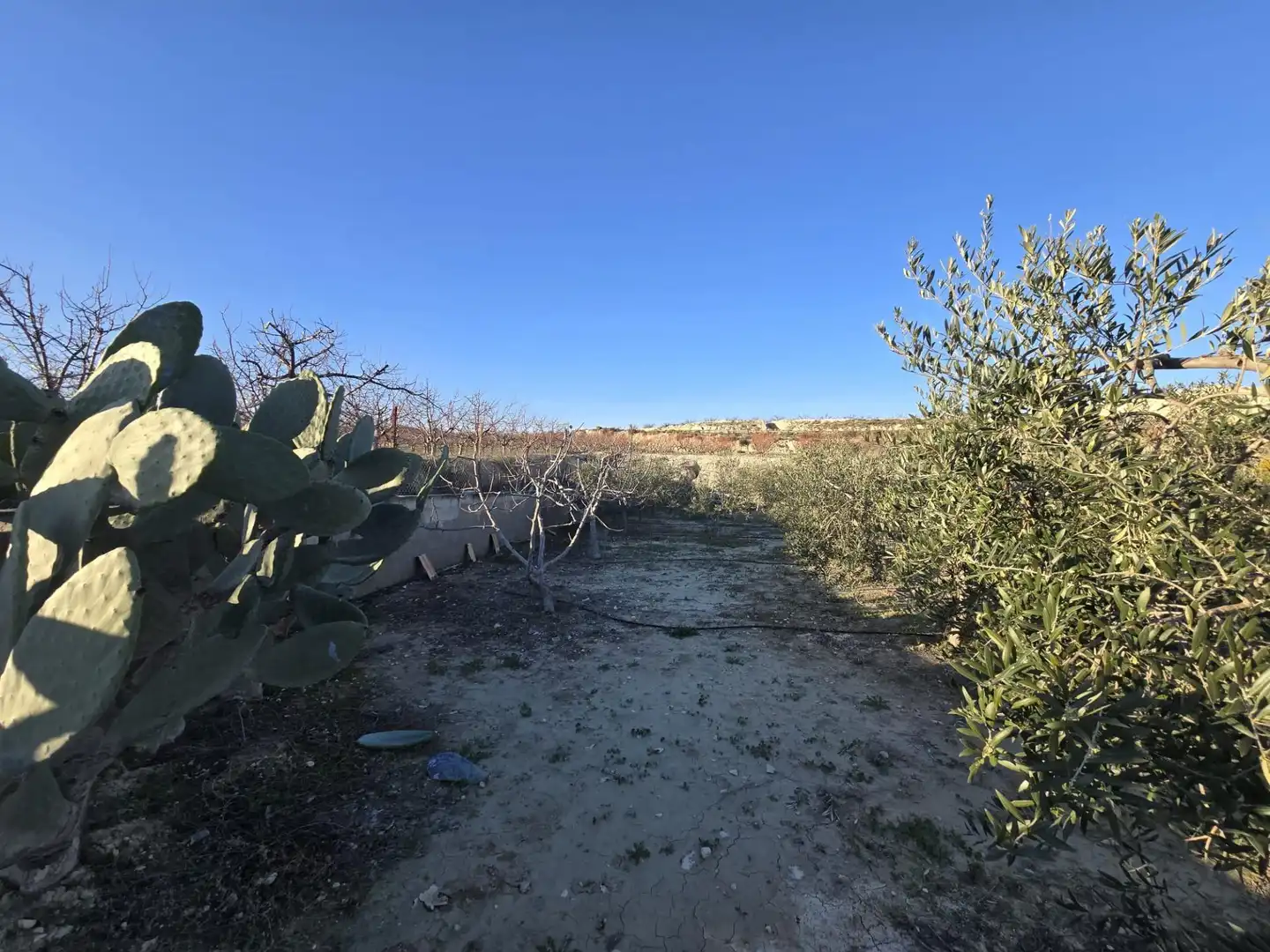 Casa o xalet en venda en Alguazas amb Jardí privat i Piscina comunitària