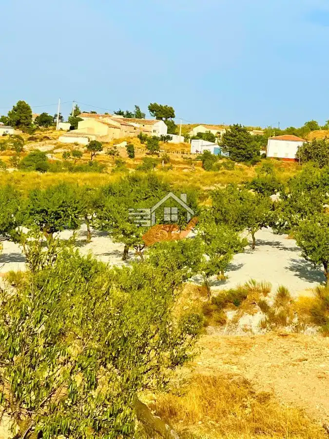 Residential land for sale in Vélez-Rubio, imagen 6