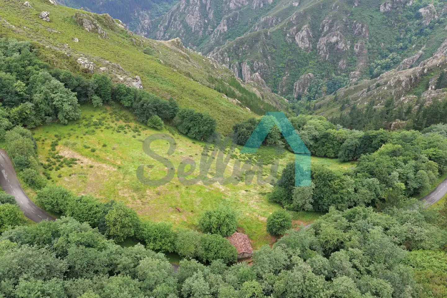 Land for sale in Proaza