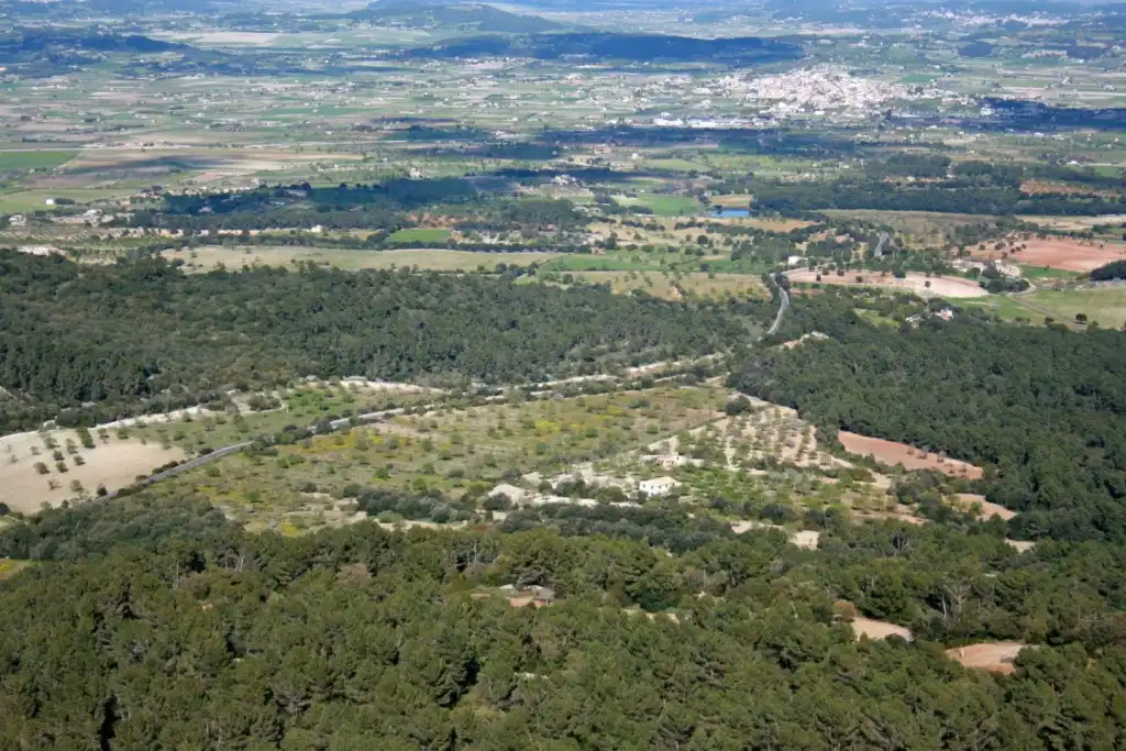 Casa rústica con piscina en venta en Montuïri, imagen 12