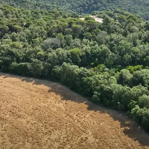 Finca rústica en venta en Tossa de Mar con Jardín privado