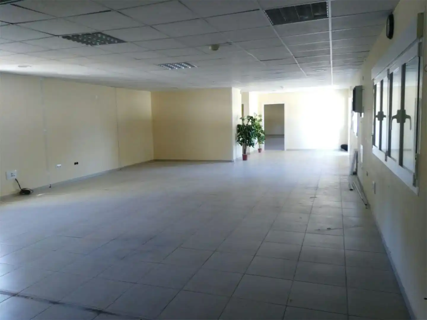 Fabrikhallen zur Miete in Puerto Real