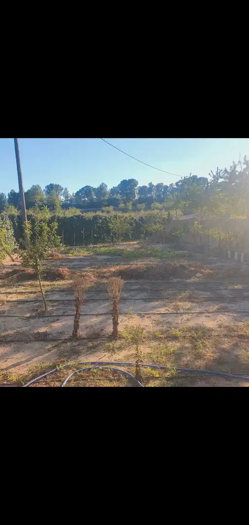 Chalet en venta en Móra d'Ebre, imagen 12