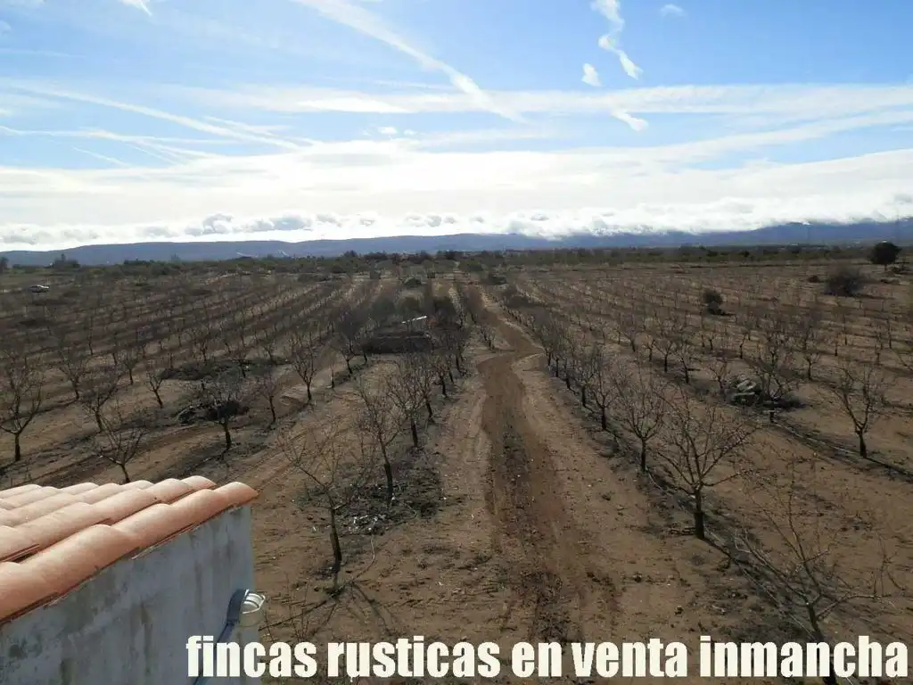 Terreno en venta en Mora