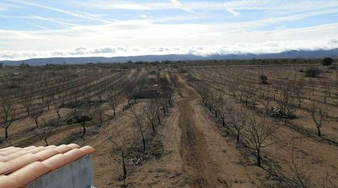 finca en venta almendros olivar viña regadío en Toledo, immagine 5
