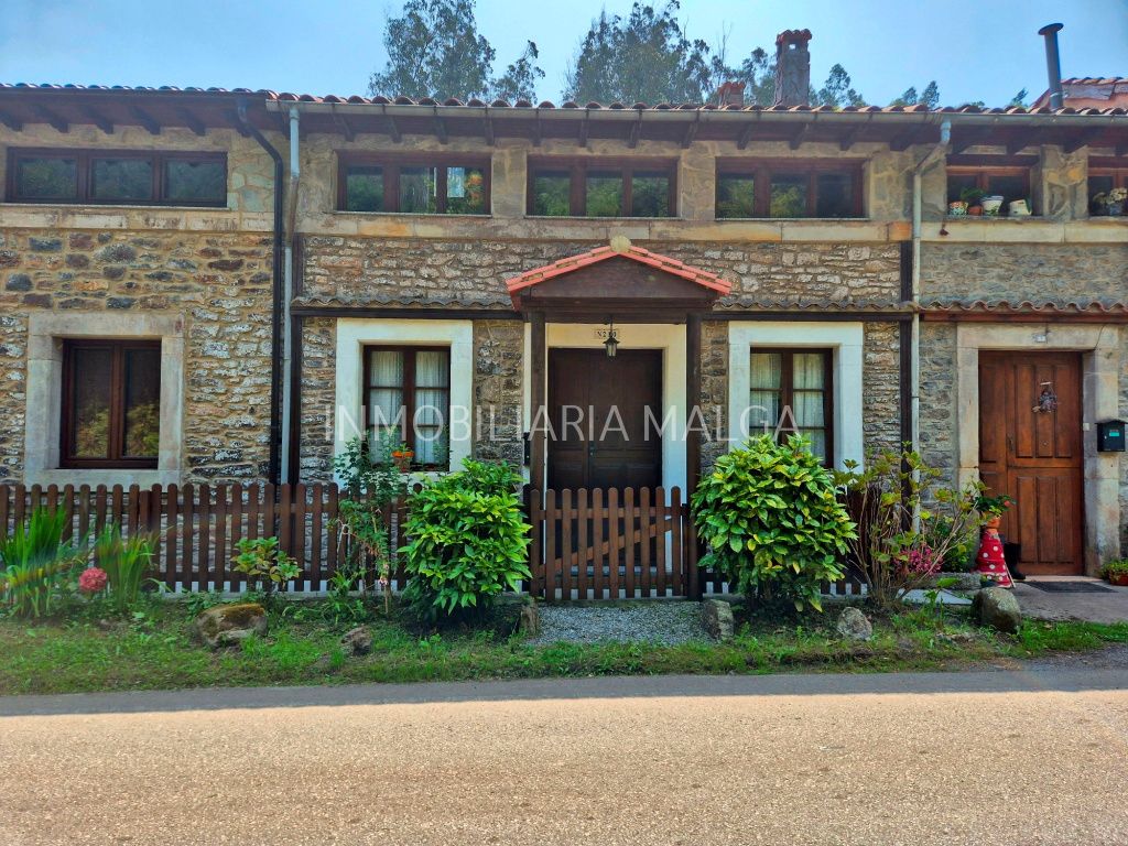 Vista exterior de Casa o xalet en venda en Colunga amb Calefacció, Terrassa i Moblat