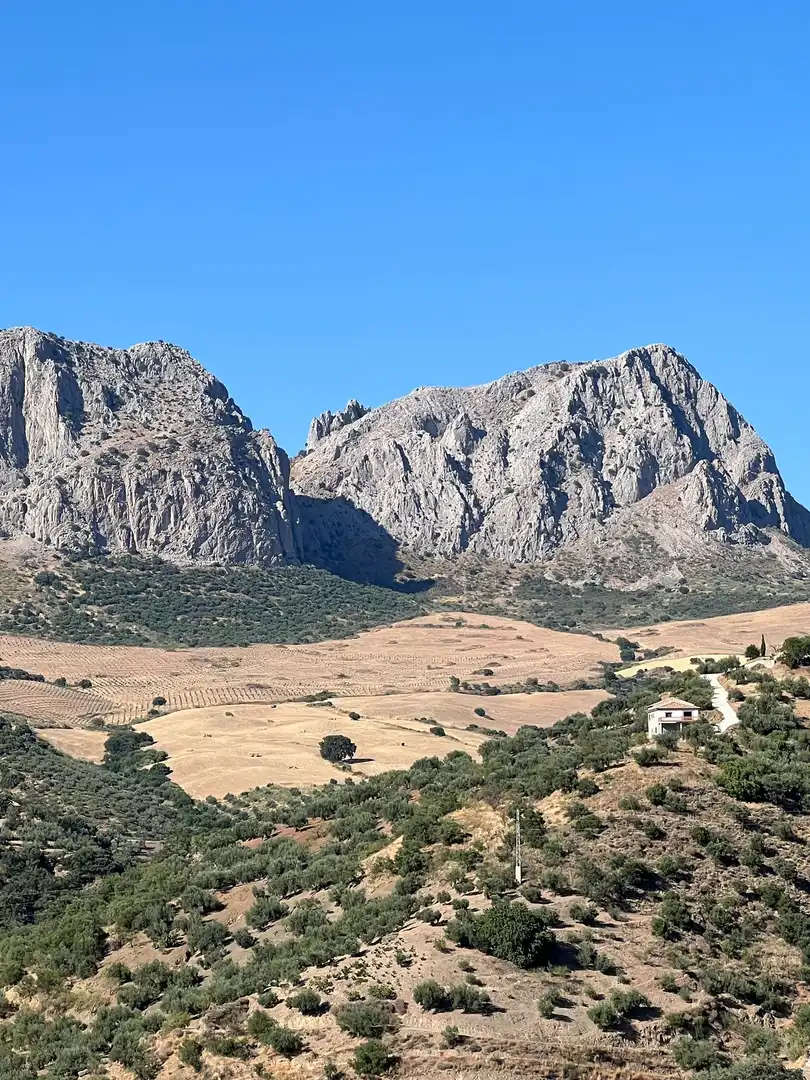 Vista exterior de Finca rústica en venta en Riogordo con Jardín privado y Terraza