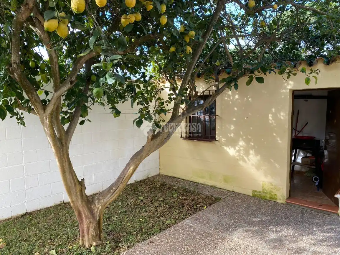 Vista exterior de Finca rústica en venta en Chiclana de la Frontera