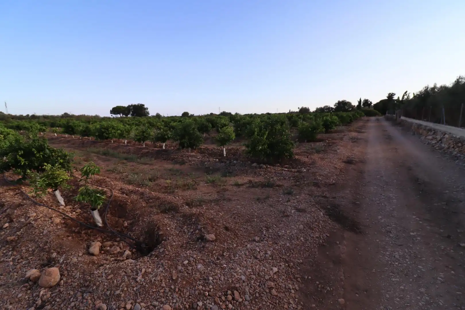 Terreny en venda en Vinaròs