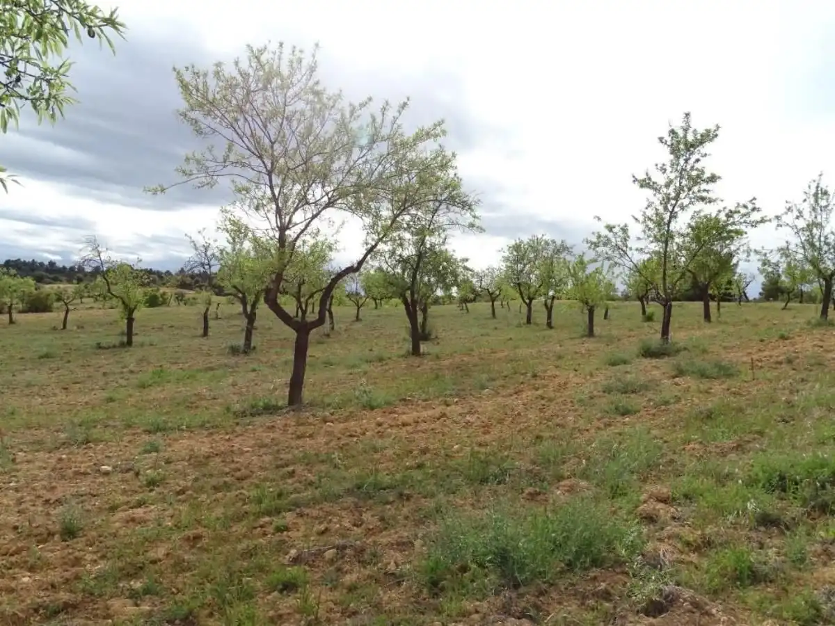 Finca rústica en venta en Cretas