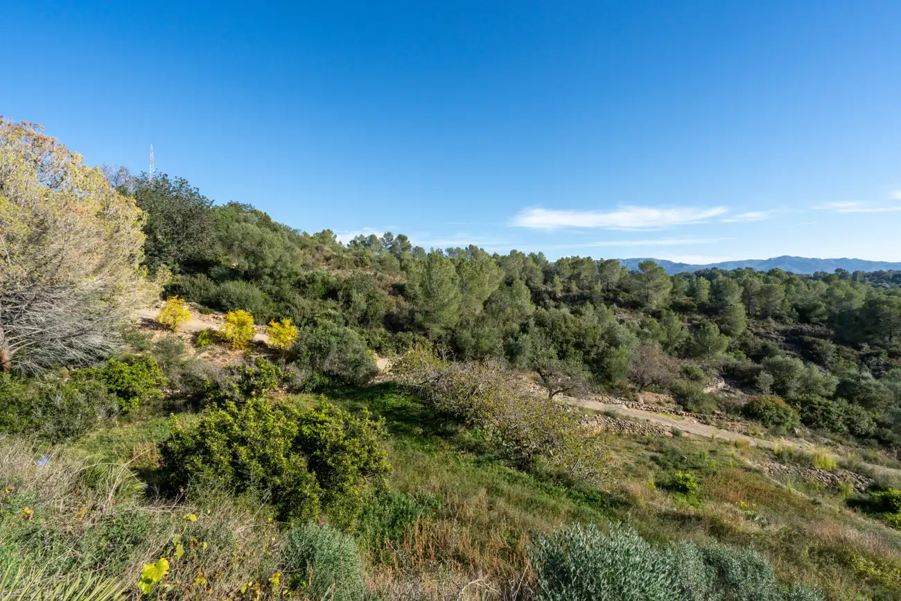 Terrain rustique à vendre à T-301 57, imagen 4