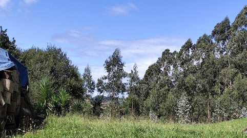 Parcela edificable en Castañeda, immagine 3