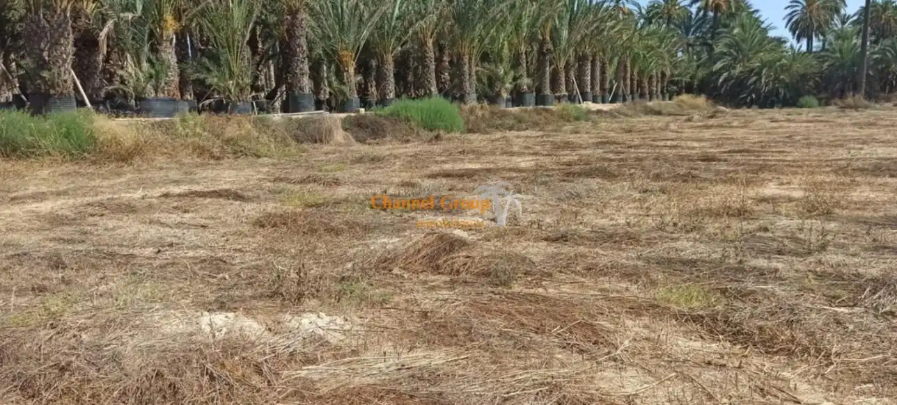 Finca rústica en venda a La Foia - Daimés - Asprella