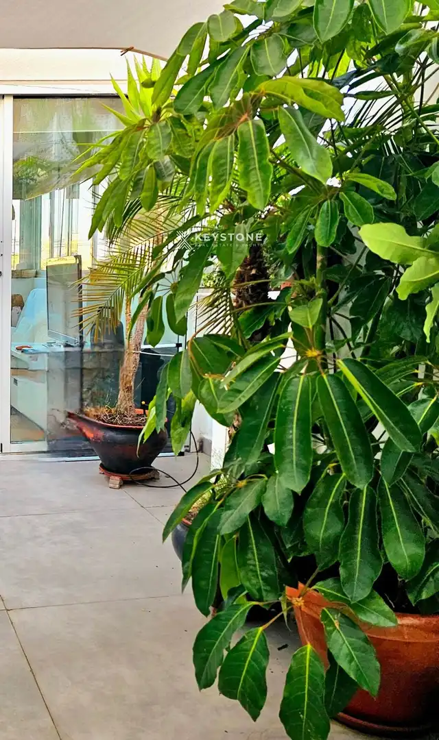 Jardín de Ático de alquiler en Alicante / Alacant con Aire acondicionado, Calefacción y Terraza