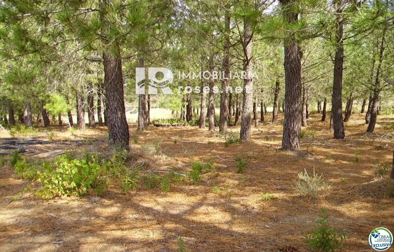 Rural land for sale in Butaros, imagen 14
