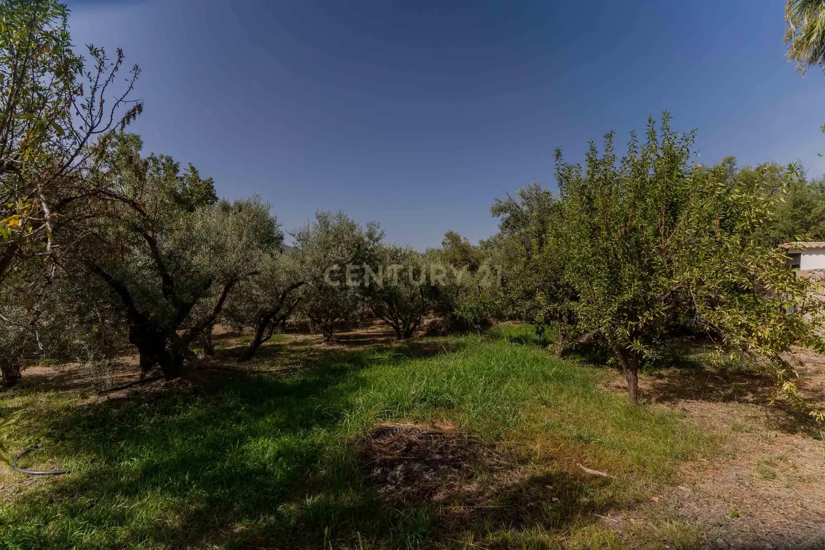 Houses for sale in Órgiva  with Private garden and Swimming Pool