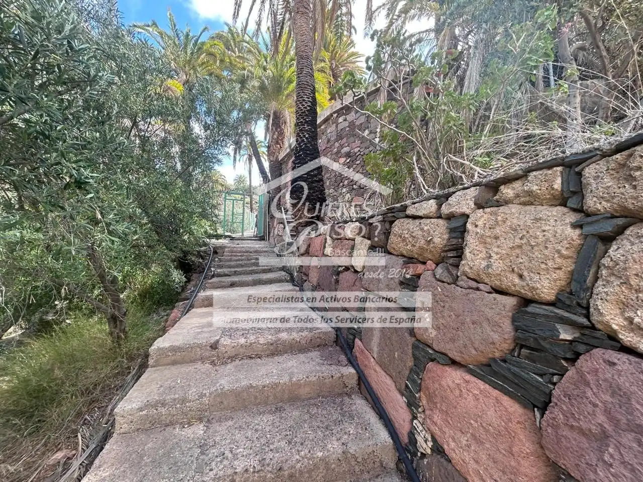 Garden of Land for sale in Santa Lucía de Tirajana