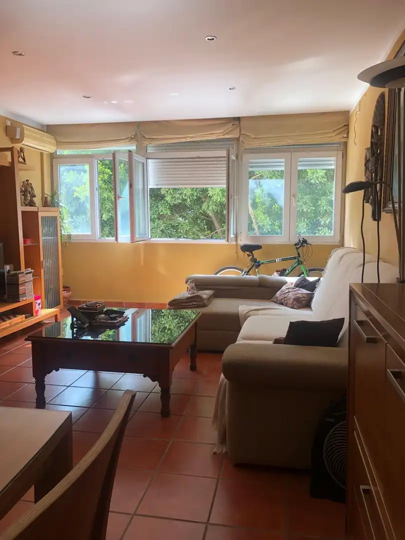 Sala de estar de Piso en venta en Málaga