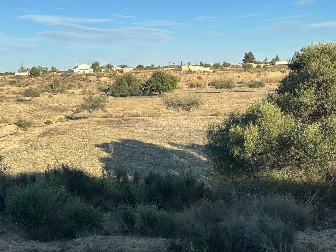 Terrenys i solars en venda a Calle Algarraz, imagen 6