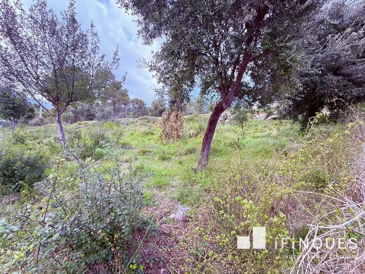 Lands and plots for sale in Airesol, imagen 5