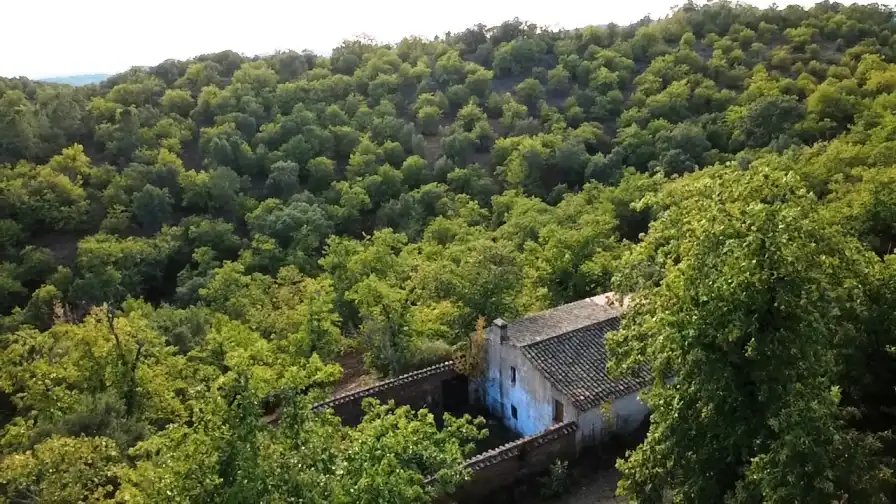 Terreni e lotti in vendita a Castaño del Robledo, imagen 2