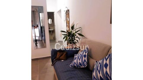 Foto 5 de Apartament de lloguer a Alameda - Mentidero - Teatro Falla, Cádiz Capital