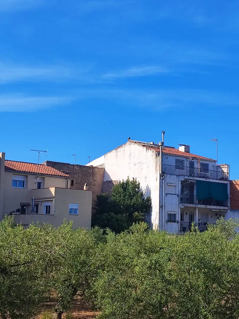 Casa con jardín en venta en Carrer de França, imagen 4