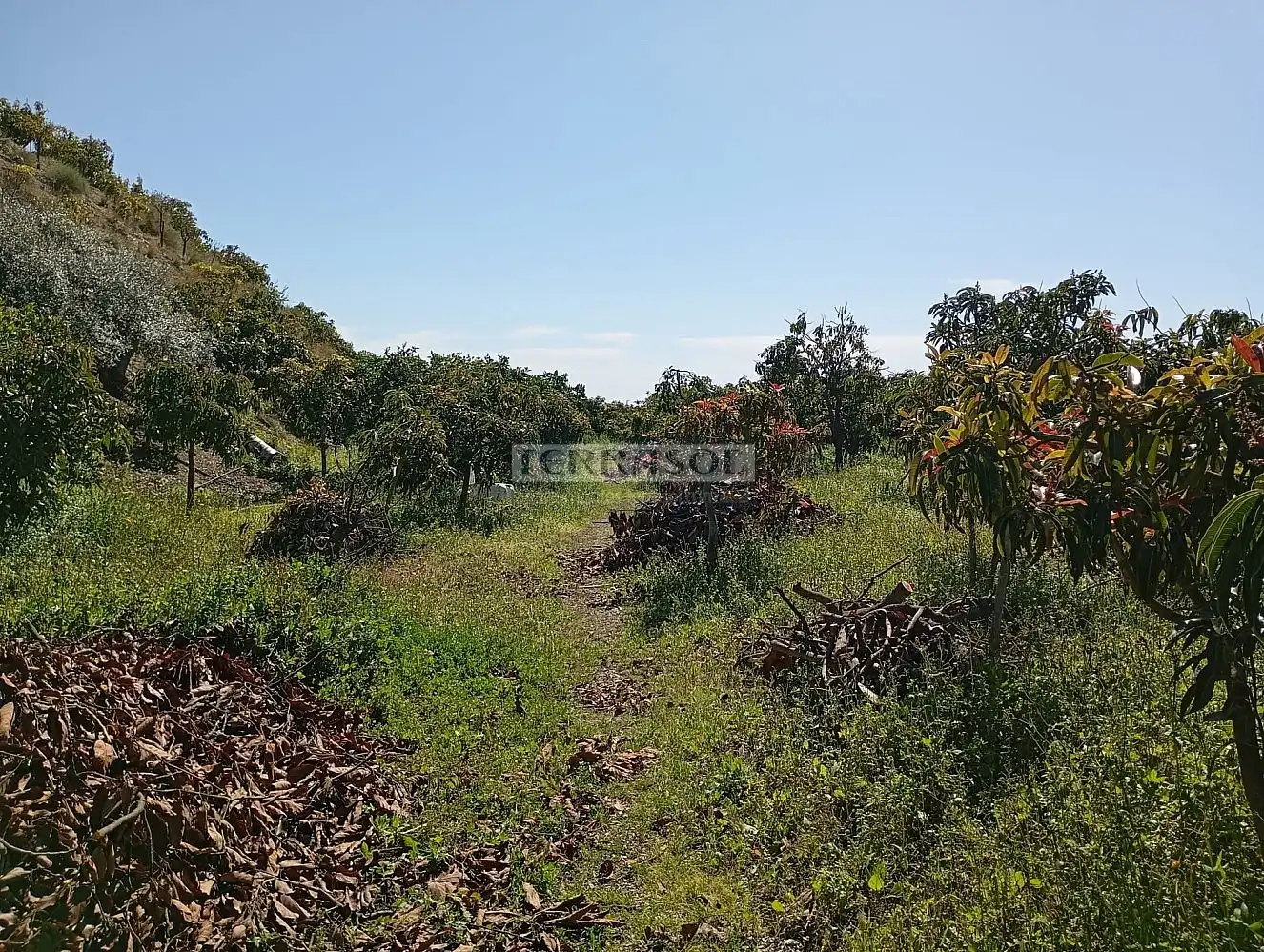 Grundstücke und Bauplätze zum Verkauf in Vélez-Málaga ciudad, imagen 22