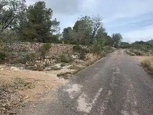 Terreno rustico in vendita a Carrer Major 22, imagen 9