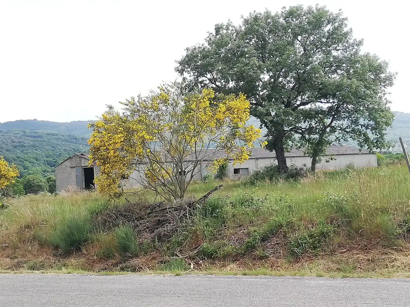 Finca rústica en venta en Os Blancos 
