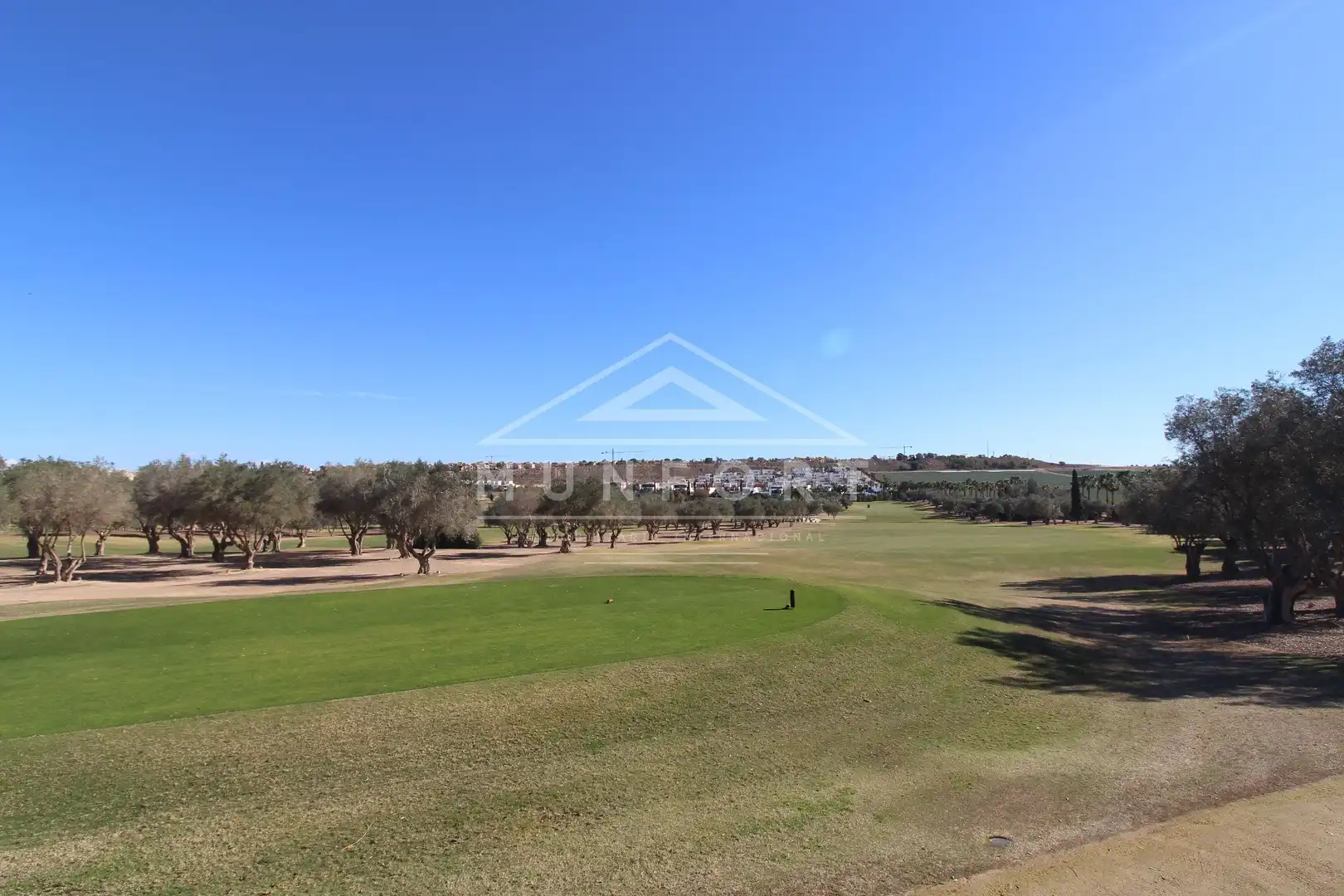 House with pool for sale in Algorfa, imagen 32