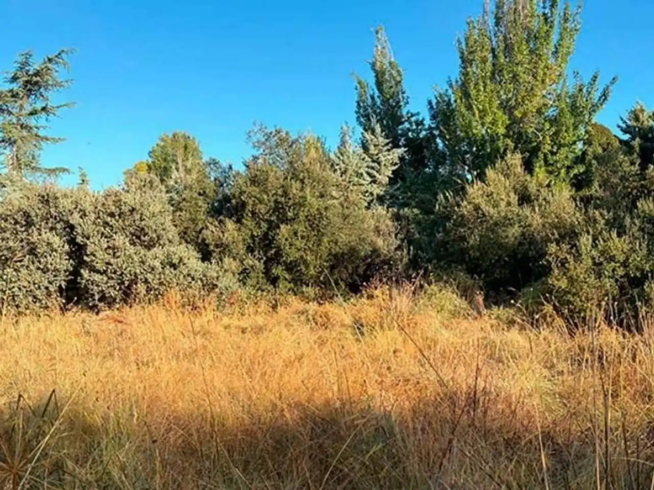 Residential for sale in Madrid
