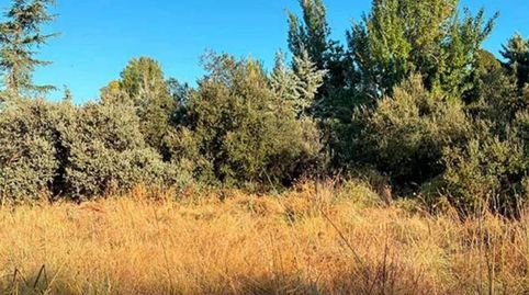 Photo 5 of Residential for sale in La Florida - El Plantío, Madrid Capital