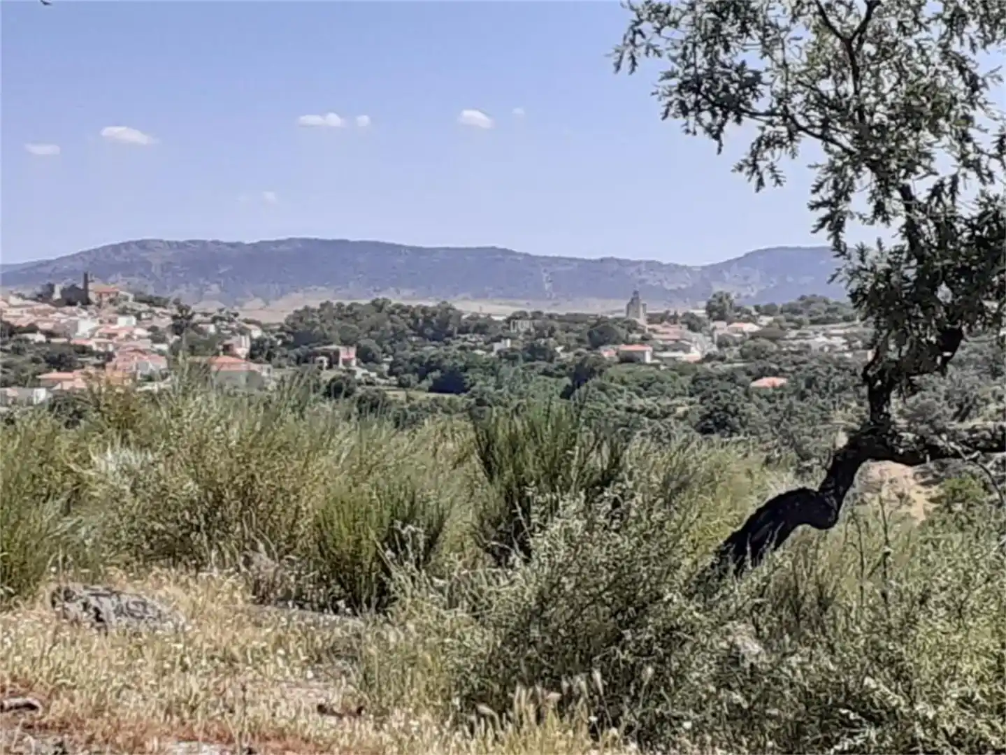 Terreno en venta en Valencia de Alcántara