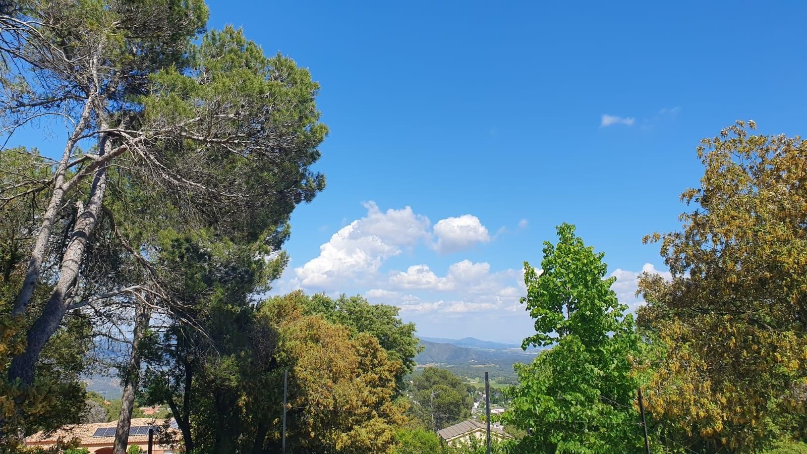Exterior view of Residential for sale in La Torre de Claramunt
