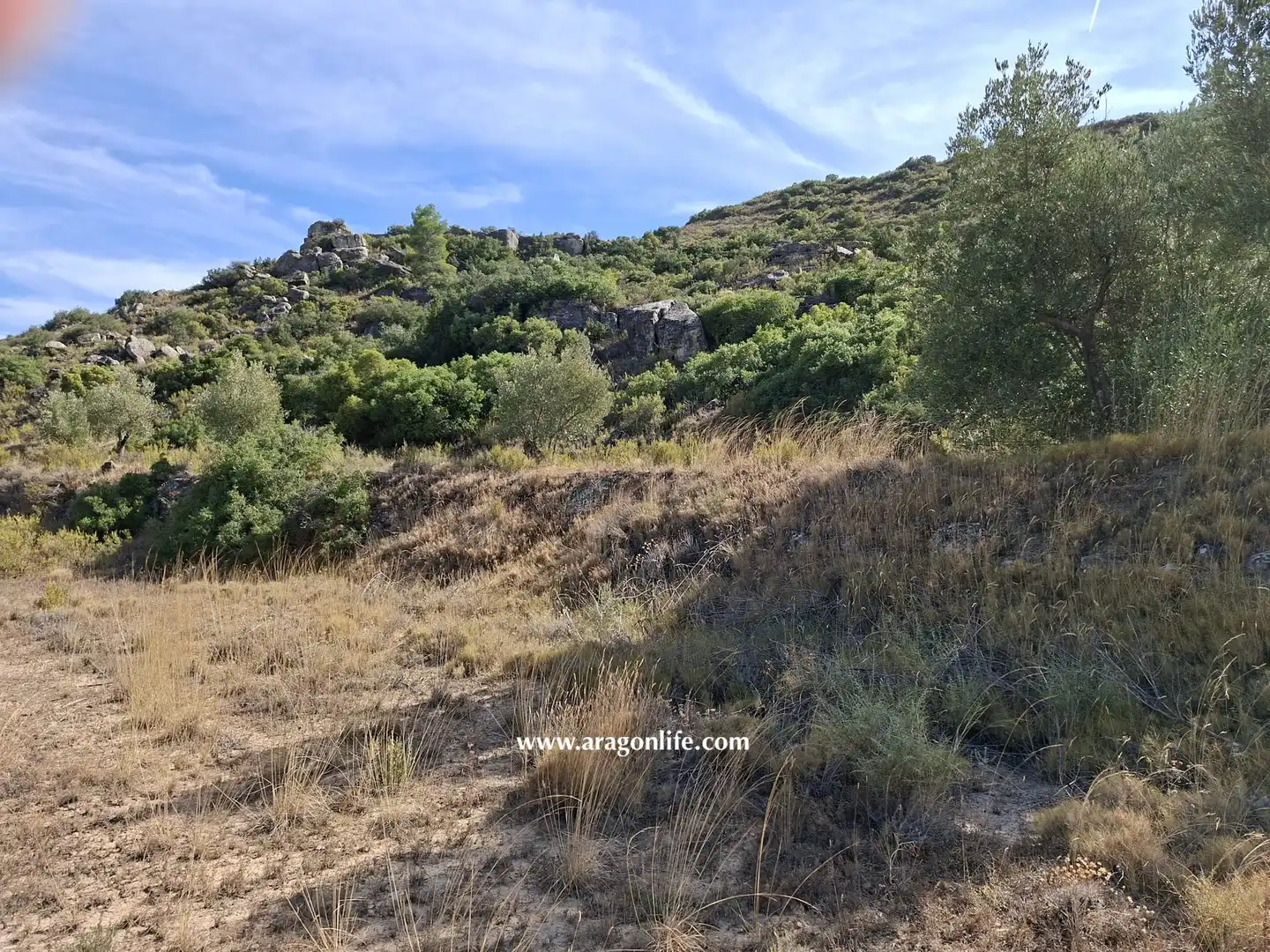 Terreni e lotti in vendita a Maella, imagen 8